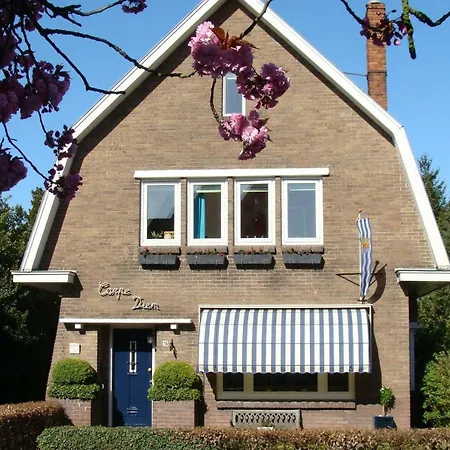 B&B Carpe Diem-2